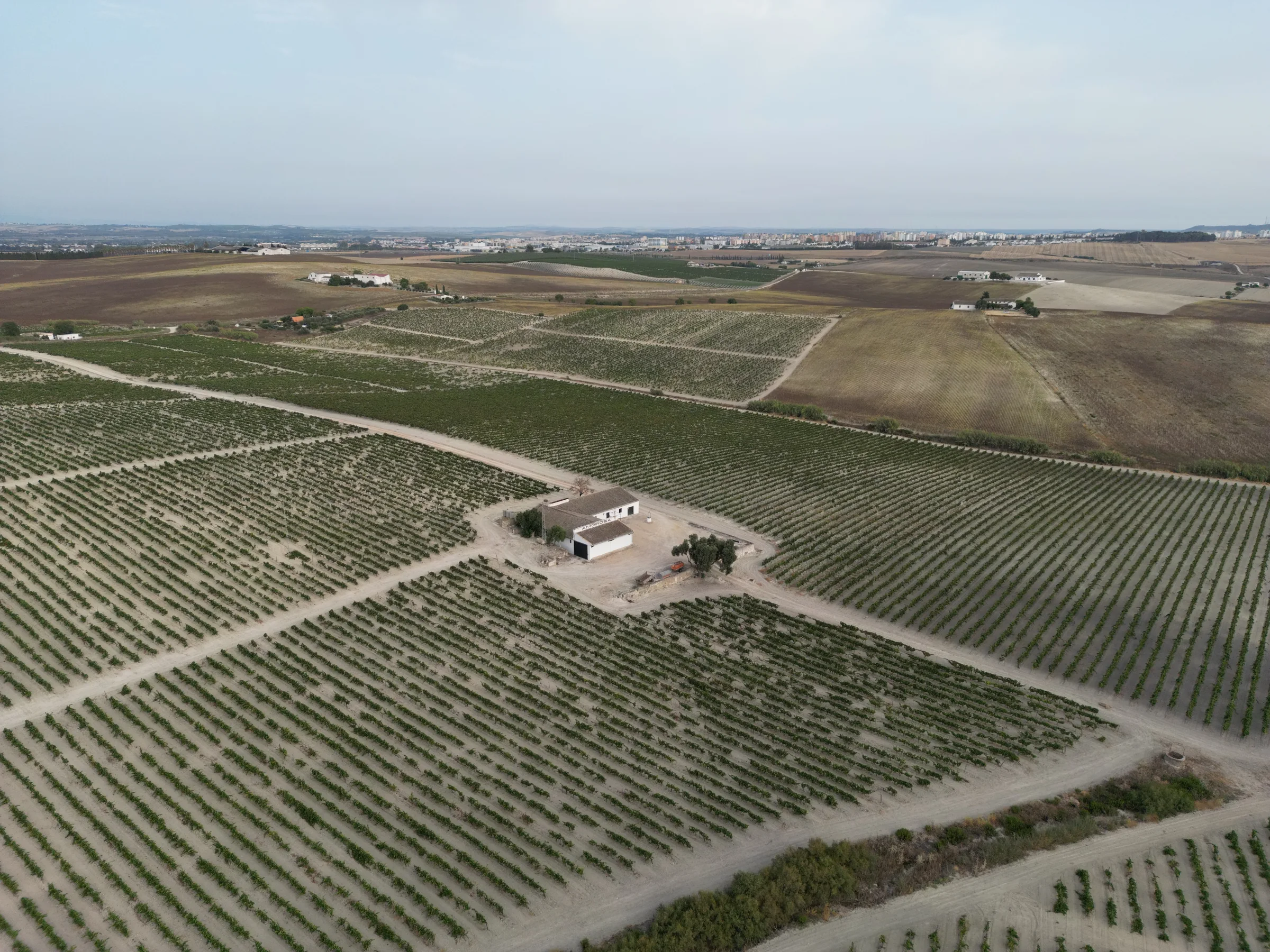 Vista aérea de Amorosa