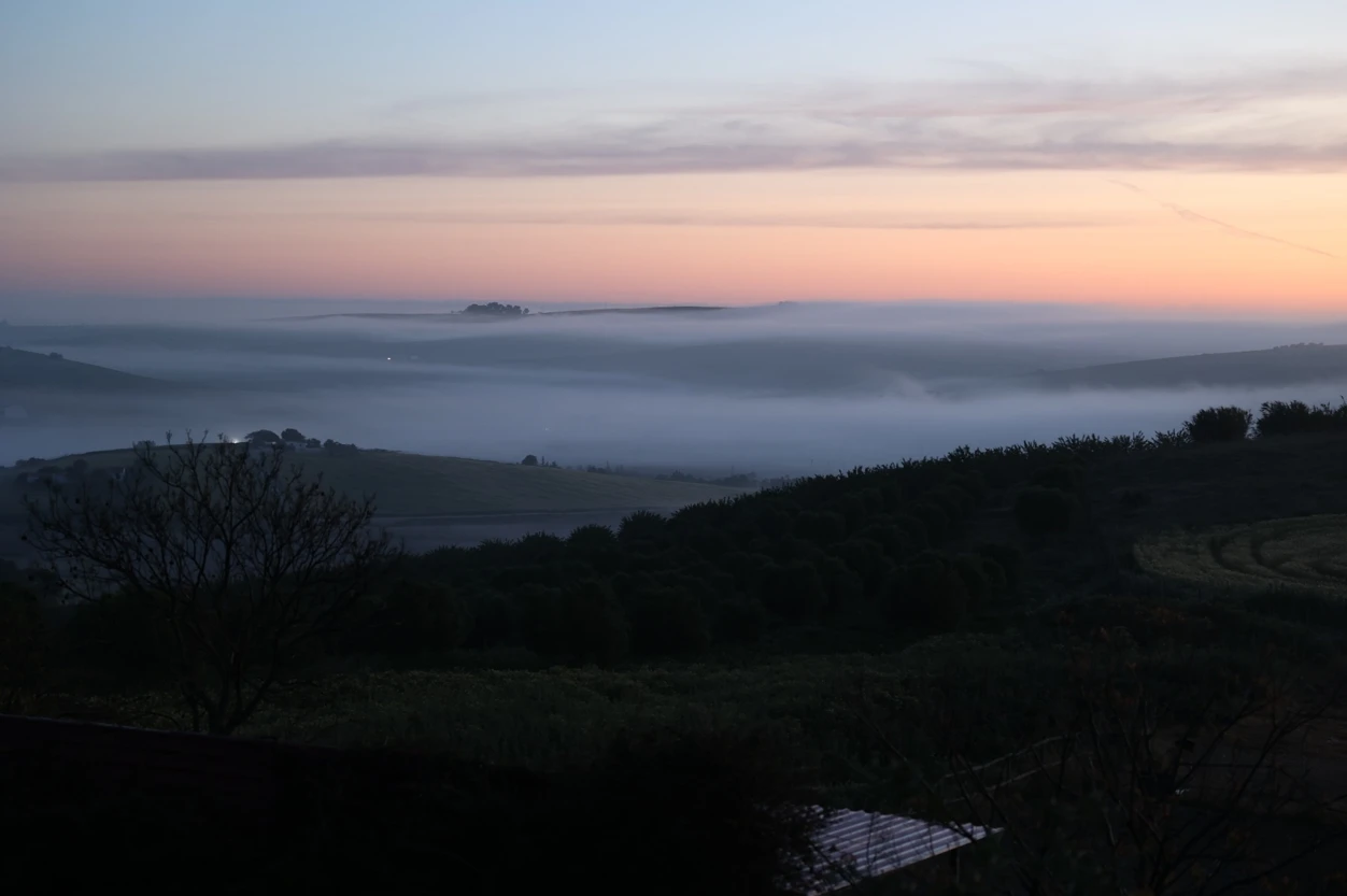 Niebla entre Macharnudo y Añina. Cuando moja el suelo es conocida localmente como “blandura”y  proporciona un alivio al estrés del periodo estival en las cepas.