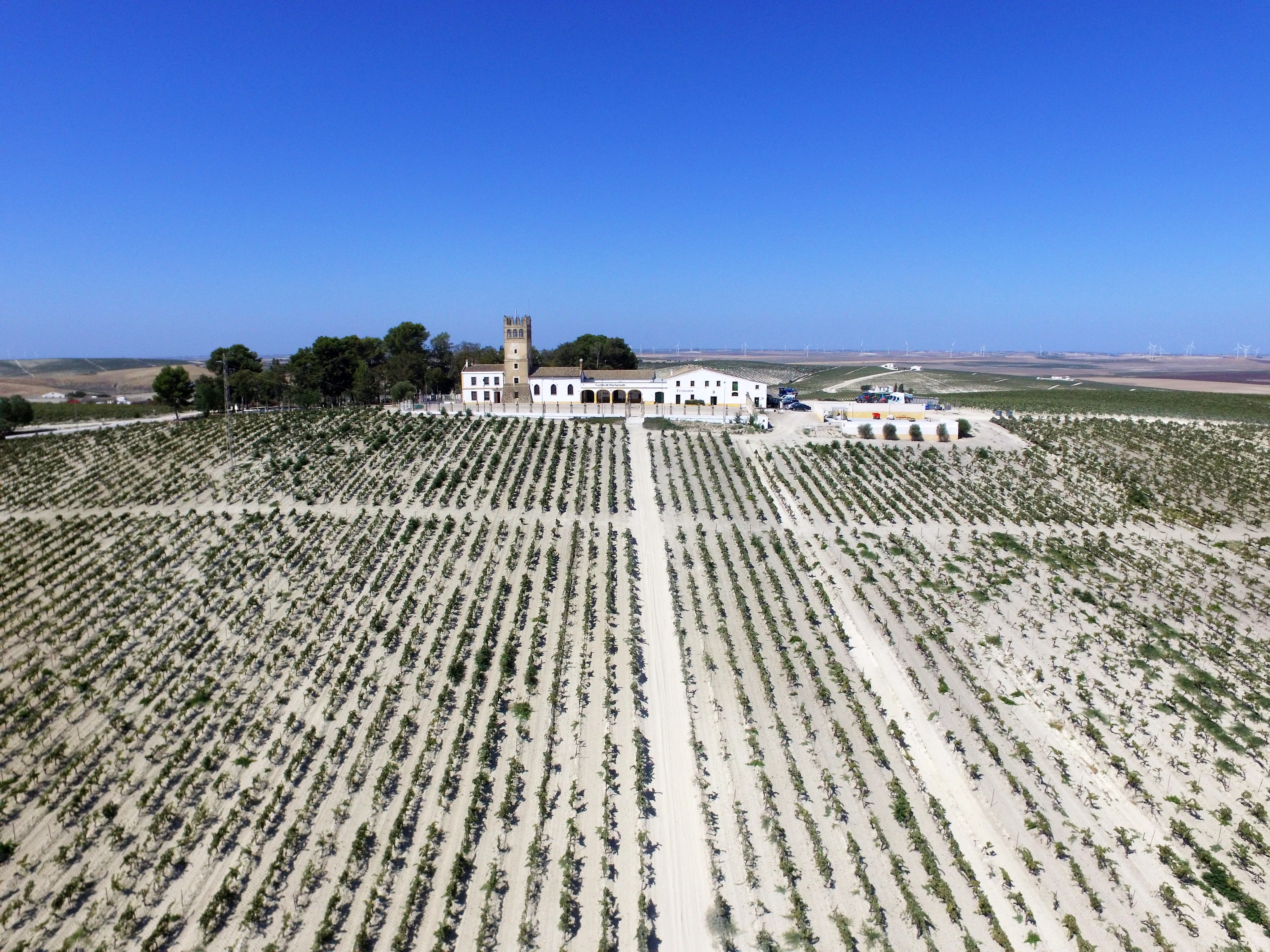 Vista de Majuelo