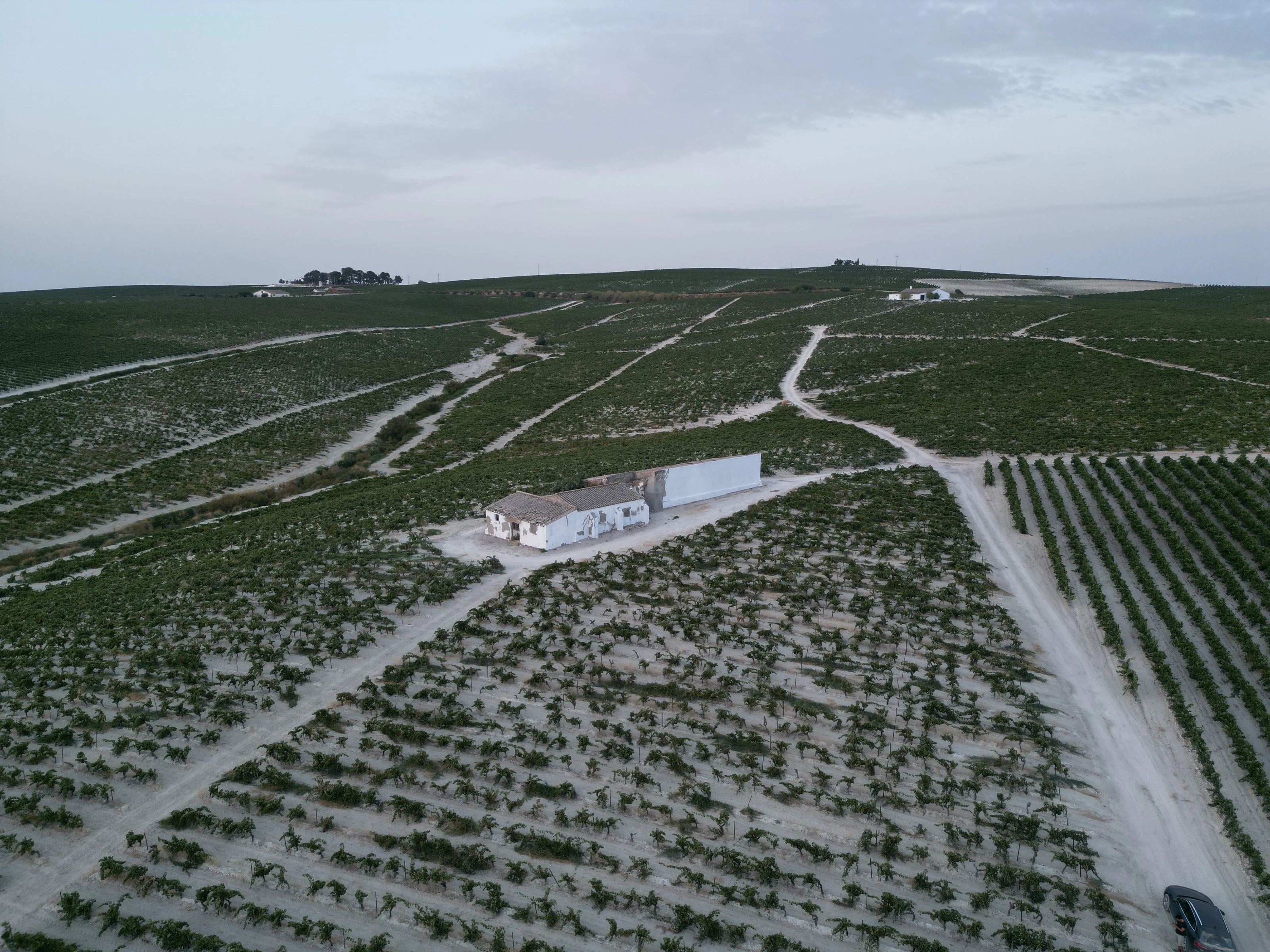 La Escribana